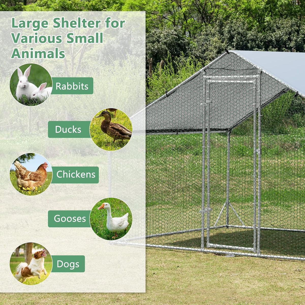 Galvanised Walk-In Poultry Run with Spire Cover – 3 Sizes