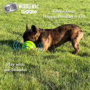 Wobble Wag Giggle Ball Interactive Dog Toy – Green