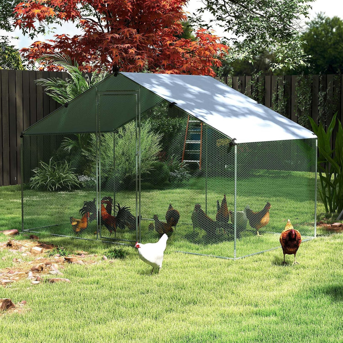 310 × 170 × 190 cm Galvanised Walk-In Poultry Run with Oxford Canopy