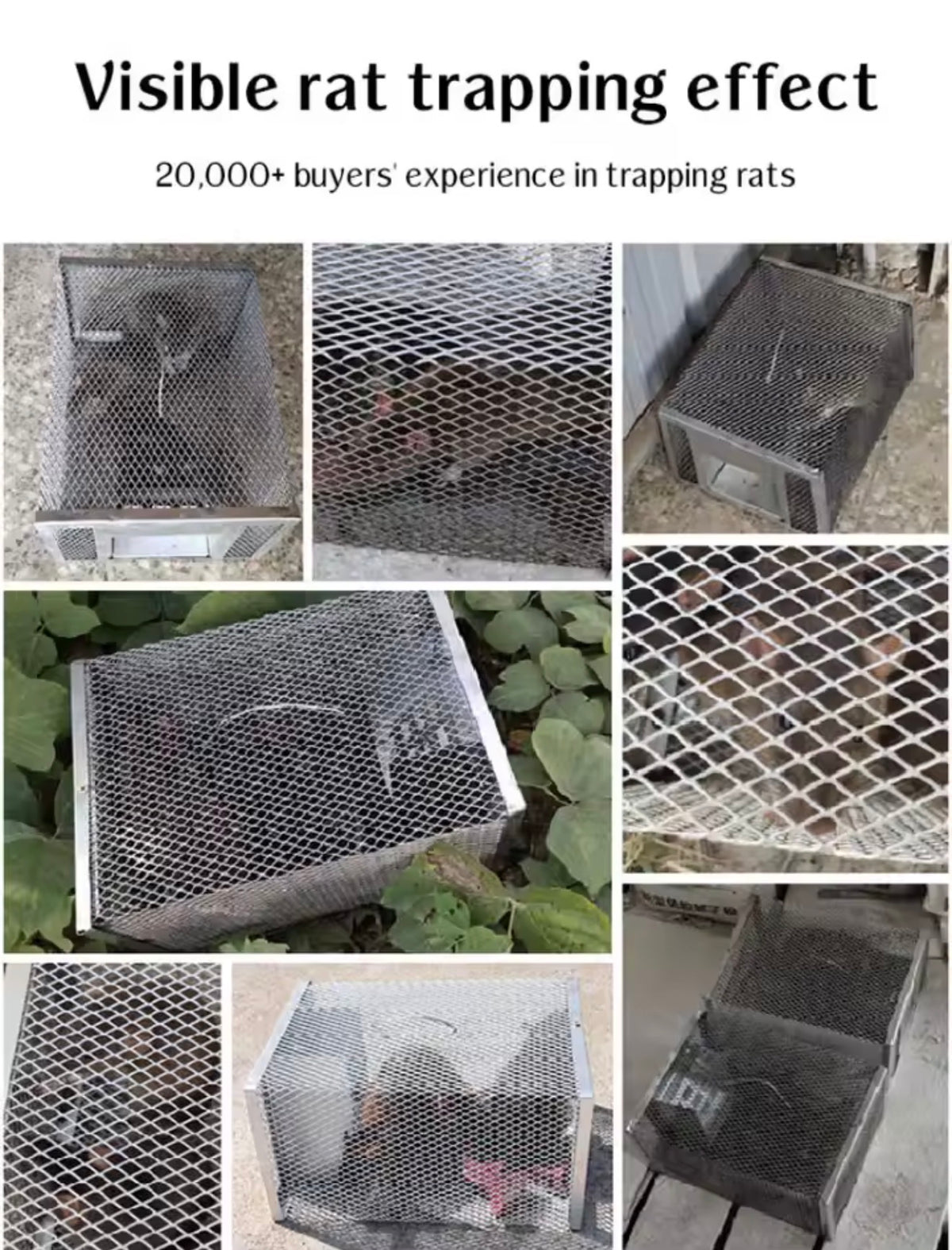 Reusable Semi-Automatic Mouse Trap