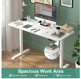 Standing Desk Electric Adjustable Height Sit Stand Workstation 120cm