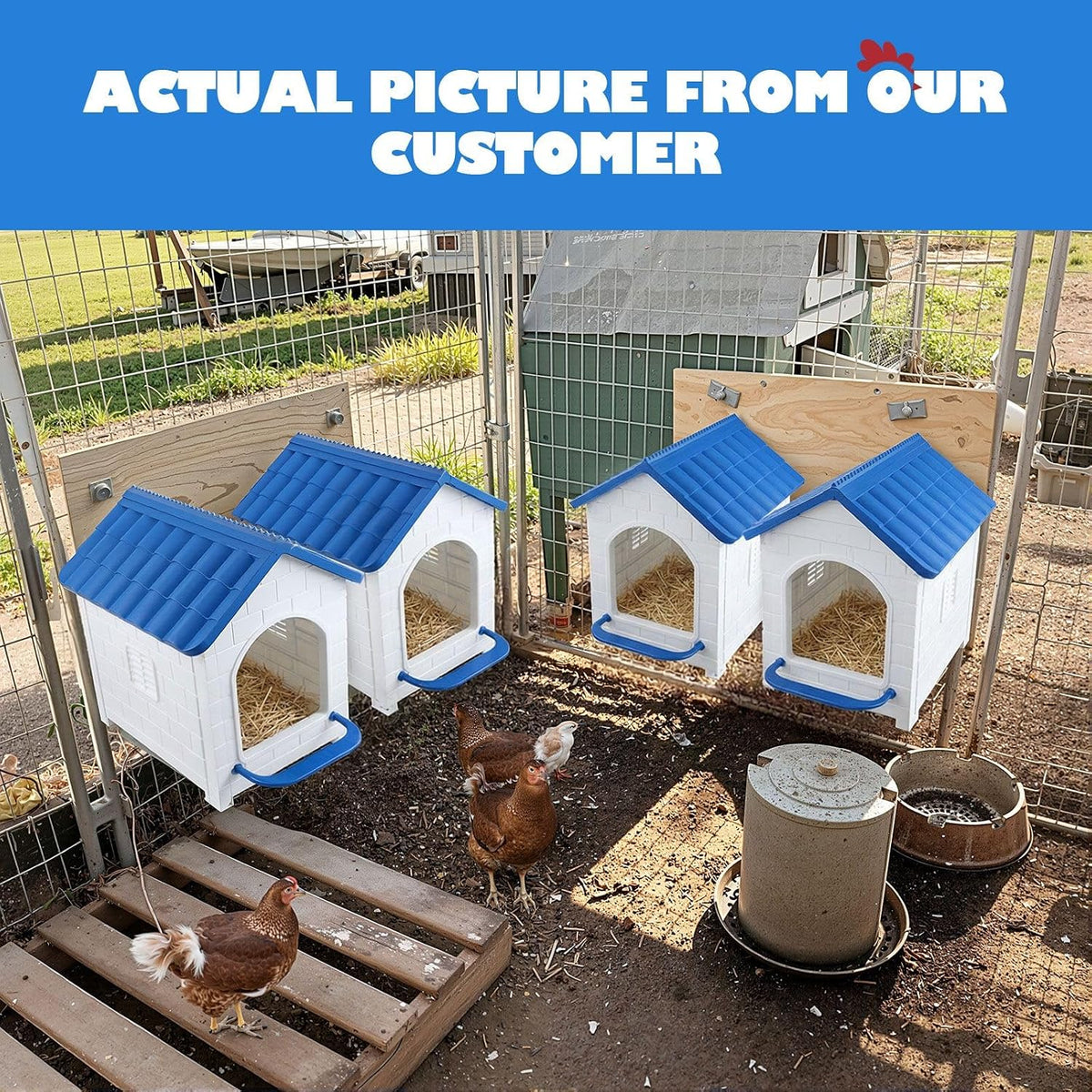 Pet Scene Chicken Nesting Box 3 Piece Chook Hen Duck Poultry Laying Boxes Inside Outside Hutch House Coop Egg Nest Lay Brooder Plastic with Silicone Pads