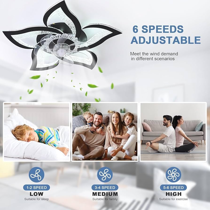 62.5 cm Low-Profile Ceiling Fan Light with Remote & App