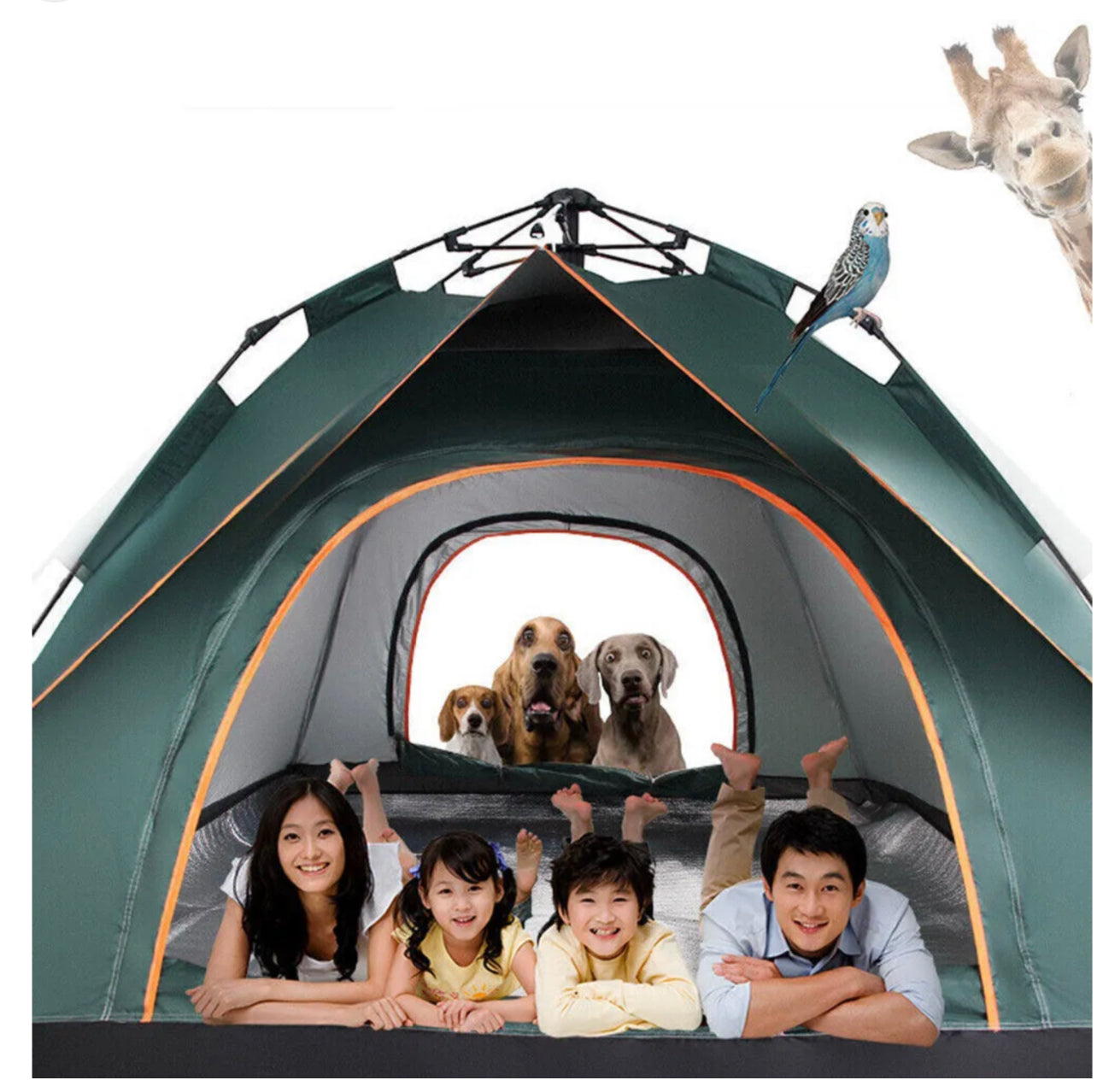 4–5 Person Instant-Up Double-Layer Camping Tent