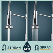 Chrome Pull-Out Kitchen Tap with 2-Mode Sprayer