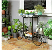 6-Tier Parisian-Style Metal Plant Stand – Black