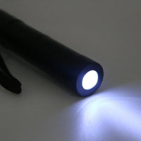LED Light-Up Umbrella with Flashlight Handle – 4 Colours