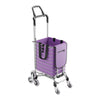 Silver Purple