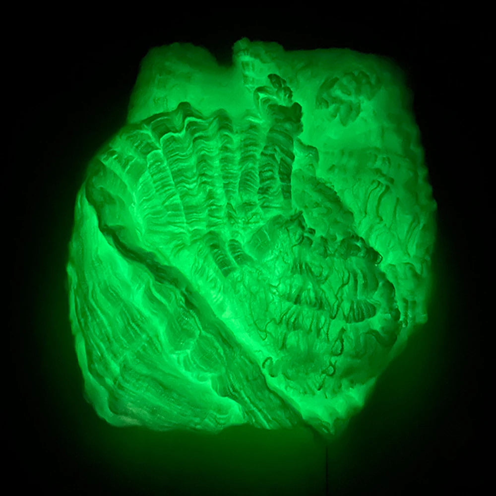 Luminous Stretchable Halloween Cobweb – 20g–100g