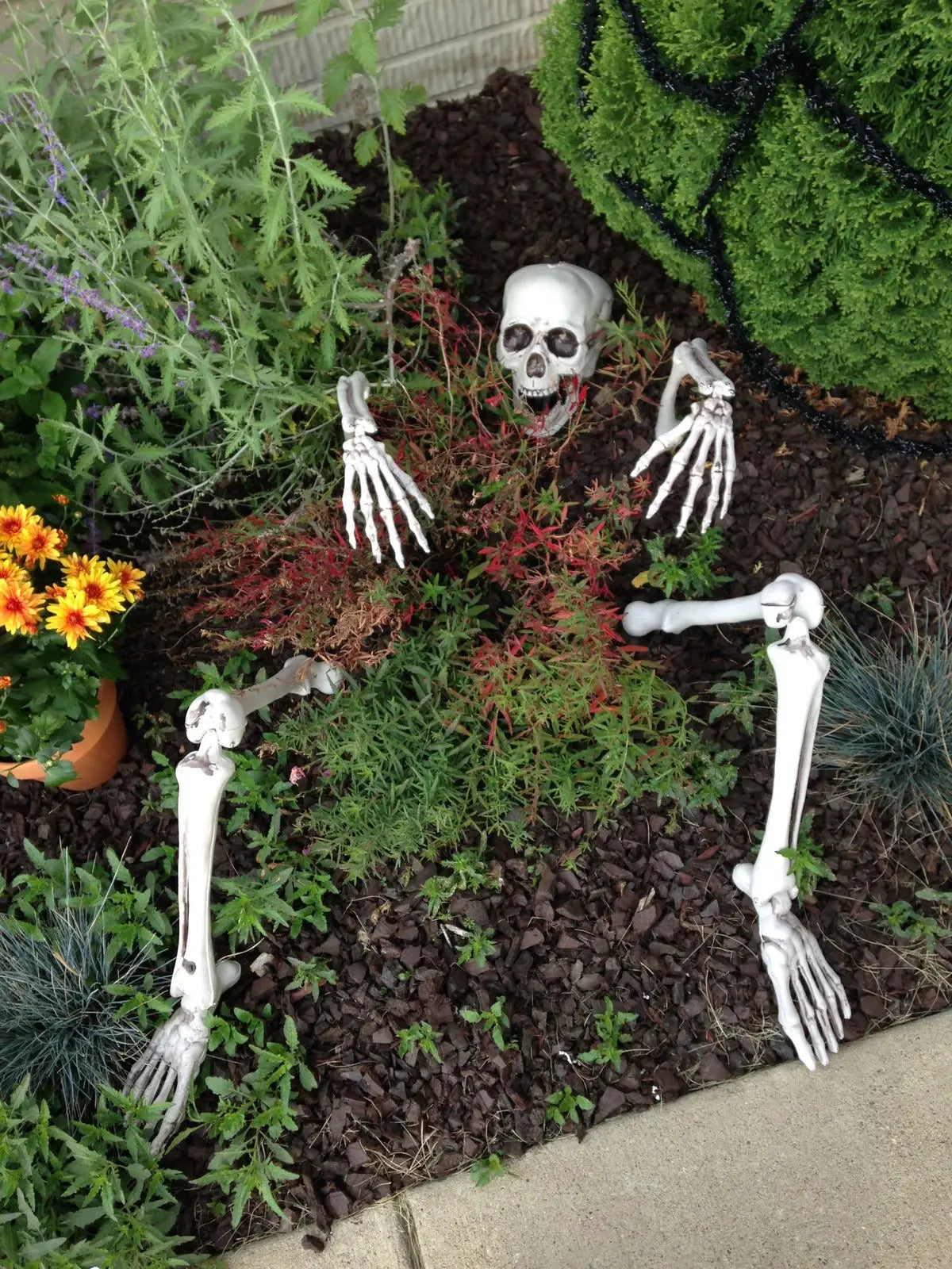 Skeleton Skull & Hand Lawn Stakes Halloween Decoration Set