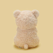 25 cm Teddy Bear with Roses – White or Brown