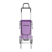 40 kg Foldable Stair-Climbing Shopping Trolley