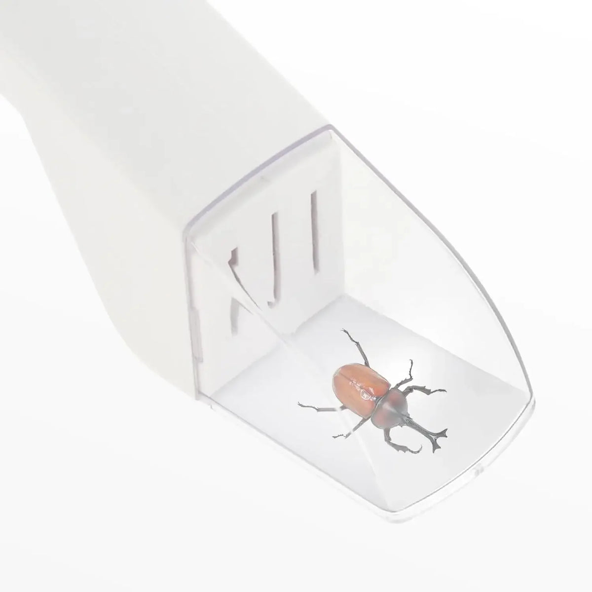 Contactless Quick-Release Bug Catcher – 4 Colours