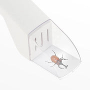 Contactless Quick-Release Bug Catcher – 4 Colours