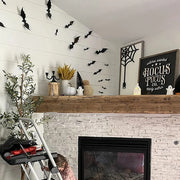 3D Black Halloween Bat Wall Decorations – 6 Pack Sizes