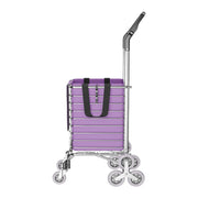 40 kg Foldable Stair-Climbing Shopping Trolley
