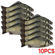Realistic Fish Pencil Case – 1, 2, 5 or 10 Pack