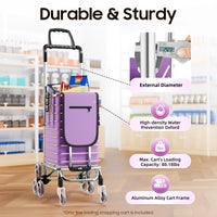 40 kg Foldable Stair-Climbing Shopping Trolley