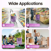 40 kg Foldable Stair-Climbing Shopping Trolley