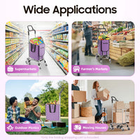 40 kg Foldable Stair-Climbing Shopping Trolley