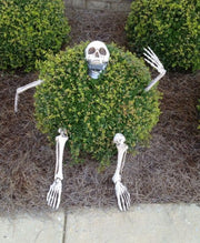 Skeleton Skull & Hand Lawn Stakes Halloween Decoration Set