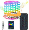 Multi / 10 M 100 LED