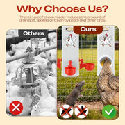 4L Automatic Chicken Feeder & Waterer Set