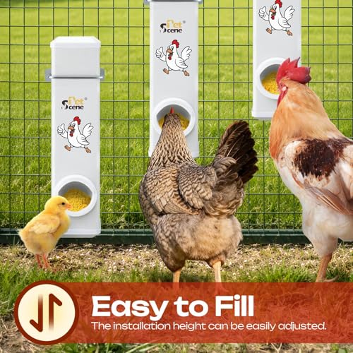 4L Automatic Chicken Feeder & Waterer Set