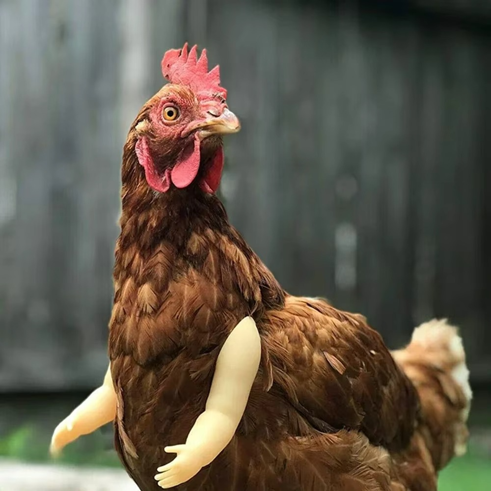 Novelty Chicken Arm Costume Prop – 7 Styles