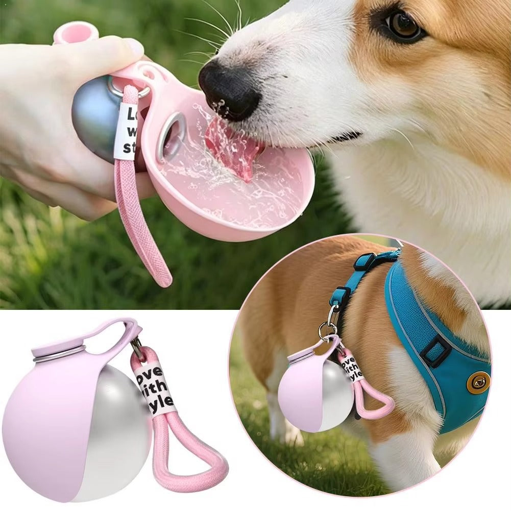 304 Stainless-Steel Travel Kettle & Foldable Dog Bowl Set