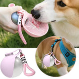 304 Stainless Steel Water Kettle Round Outdoor Water Cup With Lanyard Hook Foldable Silicone Dog Bowl Portable Travel Pet Feeding