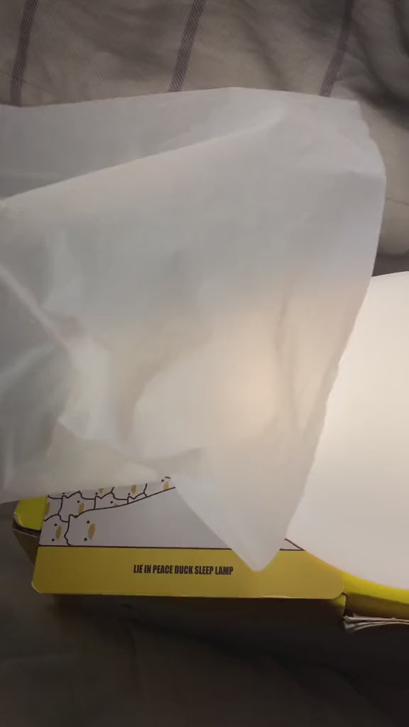 Existential Crisis Duck Night Light