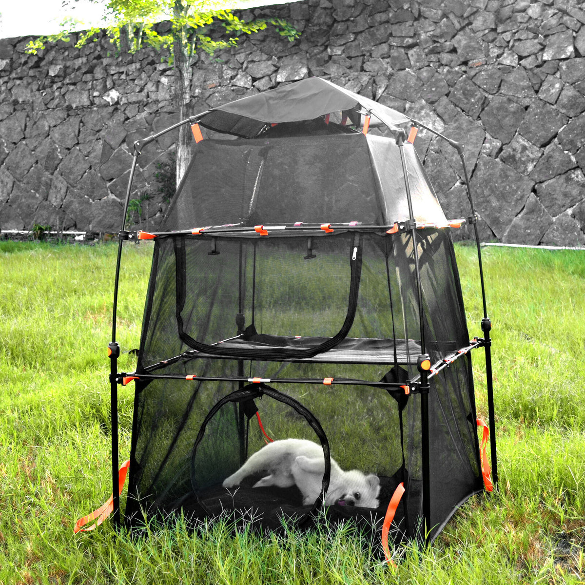 3-Tier Foldable Mesh Cat Tent Tower with Carry Bag