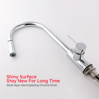 Chrome 2-Mode Pull-Out Kitchen & Laundry Mixer Tap
