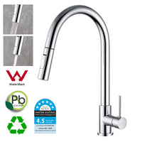 Chrome 2-Mode Pull-Out Kitchen & Laundry Mixer Tap