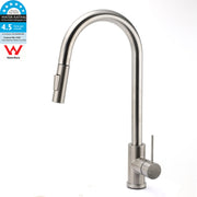 Brushed Nickel 2-Mode Pull-Out Kitchen Mixer Tap