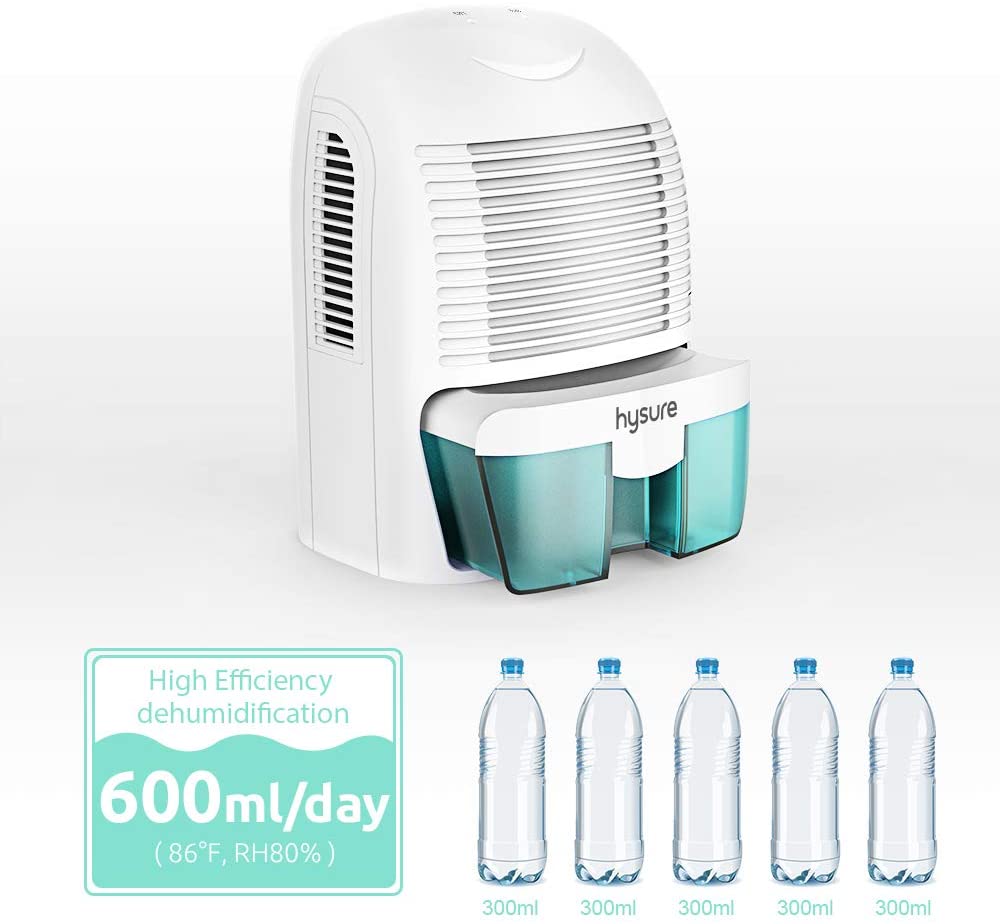 Portable Electric Dehumidifiers