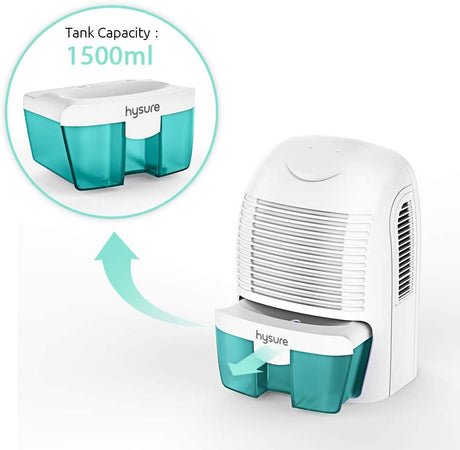 Portable Electric Dehumidifiers