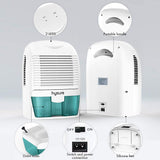 Portable Electric Dehumidifiers