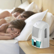 Portable Electric Dehumidifiers