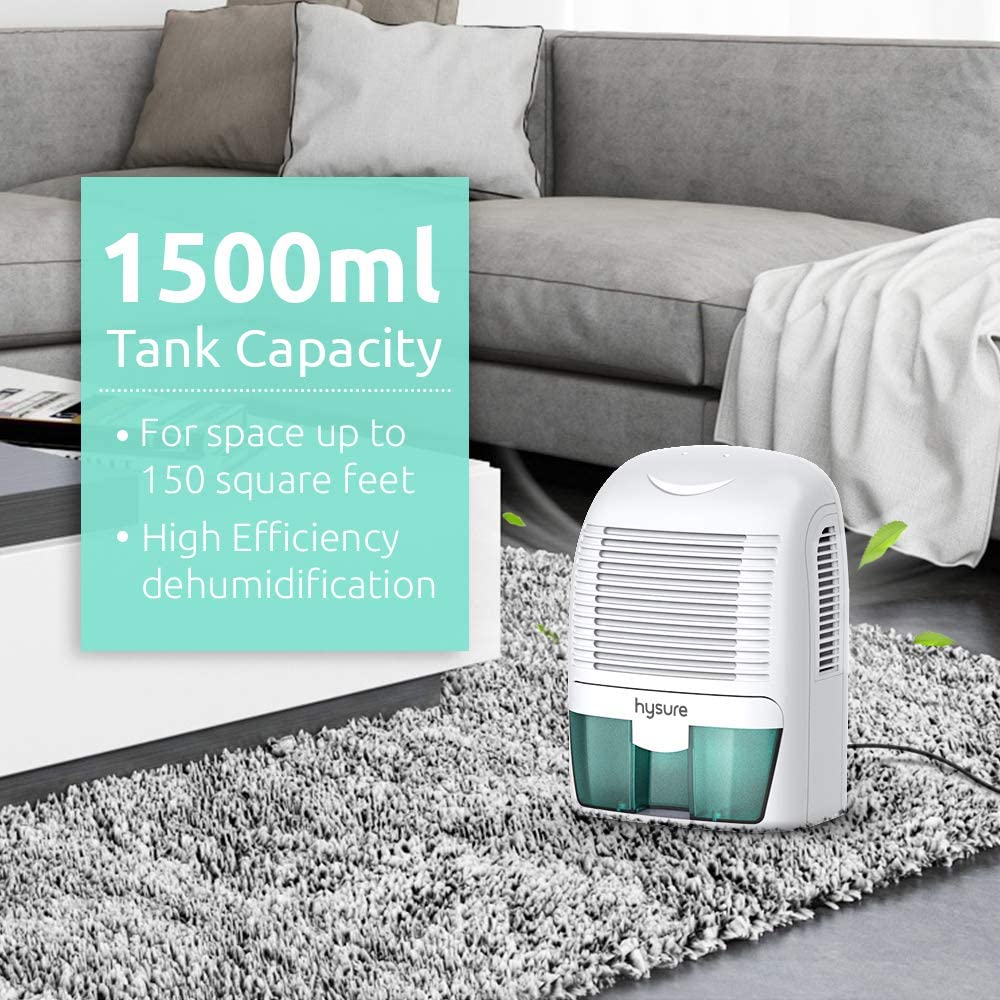 Portable Electric Dehumidifiers
