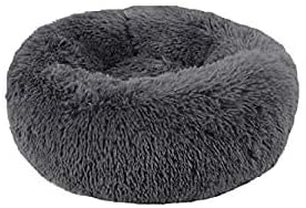 Pet Bed