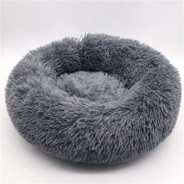 Pet Bed