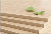 120 cm Maple TV Stand with Open Storage