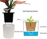 Orchid Pot with Net and Holes, Round Self Watering Planter Pot for Indoor Plants and Flowers 3 Sets White