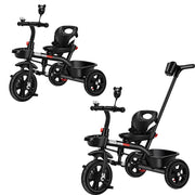 2 in 1 Kids Push Along Tricycle