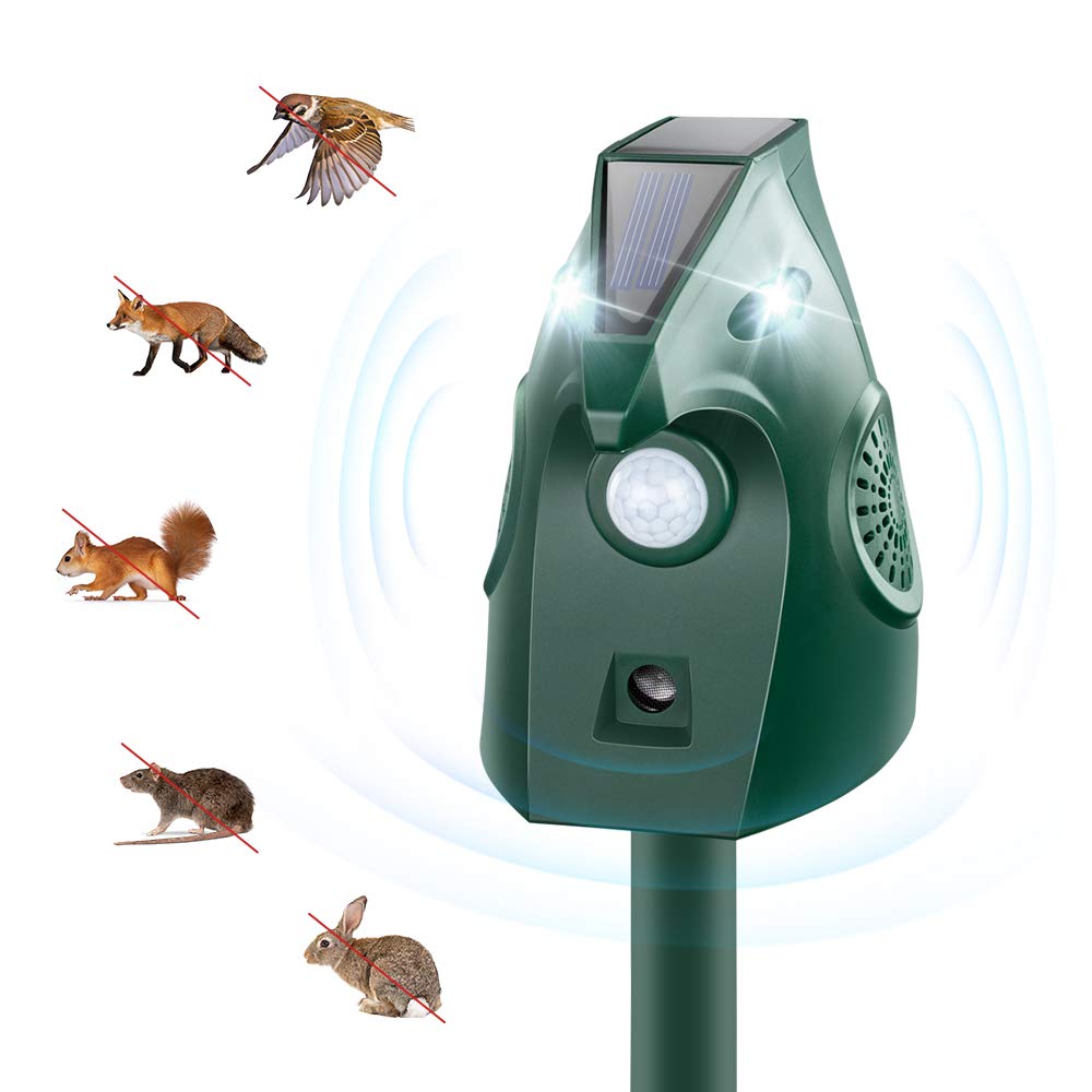 Solar Animal Device