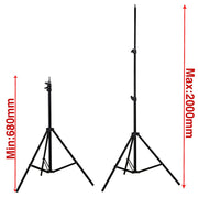 Complete Softbox, Umbrella & 4-Backdrop Studio Kit