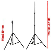 Complete Softbox, Umbrella & 4-Backdrop Studio Kit