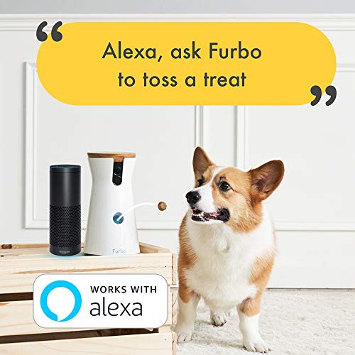 Furbo Dog Camera